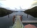 ./images/calvert/dock/20210608/dock20210608_220004.jpg