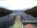 ./images/calvert/dock/20210608/dock20210608_221001.jpg