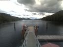 ./images/calvert/dock/20210610/dock20210610_120502.jpg