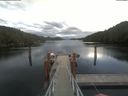 ./images/calvert/dock/20210610/dock20210610_185504.jpg