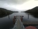 ./images/calvert/dock/20210611/dock20210611_125501.jpg