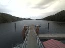./images/calvert/dock/20210611/dock20210611_144004.jpg