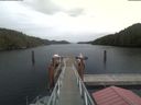 ./images/calvert/dock/20210611/dock20210611_145502.jpg