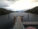 ./images/calvert/dock/20210611/dock20210611_175504.jpg