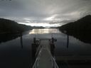 ./images/calvert/dock/20210613/dock20210613_074502.jpg