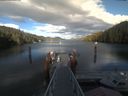 ./images/calvert/dock/20210613/dock20210613_190504.jpg