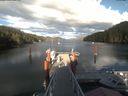 ./images/calvert/dock/20210613/dock20210613_191004.jpg