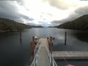 ./images/calvert/dock/20210614/dock20210614_132501.jpg
