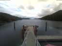 ./images/calvert/dock/20210614/dock20210614_134502.jpg