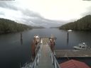 ./images/calvert/dock/20210614/dock20210614_185502.jpg
