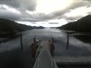 ./images/calvert/dock/20210615/dock20210615_114502.jpg