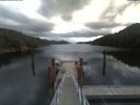 ./images/calvert/dock/20210615/dock20210615_122504.jpg