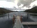./images/calvert/dock/20210615/dock20210615_140004.jpg