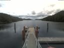./images/calvert/dock/20210615/dock20210615_141504.jpg
