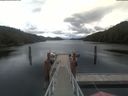 ./images/calvert/dock/20210615/dock20210615_143503.jpg