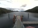 ./images/calvert/dock/20210615/dock20210615_145002.jpg