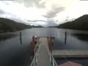 ./images/calvert/dock/20210615/dock20210615_145504.jpg