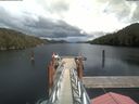 ./images/calvert/dock/20210615/dock20210615_154502.jpg