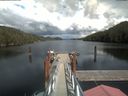 ./images/calvert/dock/20210615/dock20210615_155002.jpg