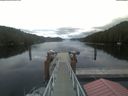 ./images/calvert/dock/20210616/dock20210616_053501.jpg