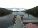 ./images/calvert/dock/20210616/dock20210616_054504.jpg