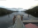 ./images/calvert/dock/20210616/dock20210616_060504.jpg