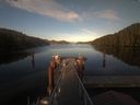 ./images/calvert/dock/20210616/dock20210616_200004.jpg