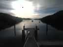 ./images/calvert/dock/20210624/dock20210624_073504.jpg