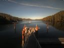 ./images/calvert/dock/20210625/dock20210625_193004.jpg