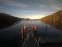 ./images/calvert/dock/20210625/dock20210625_202004.jpg