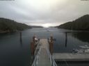 ./images/calvert/dock/20210630/dock20210630_134004.jpg