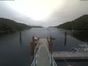./images/calvert/dock/20210630/dock20210630_144002.jpg