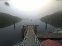 ./images/calvert/dock/20210701/dock20210701_073003.jpg