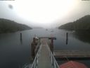 ./images/calvert/dock/20210701/dock20210701_082501.jpg