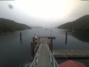 ./images/calvert/dock/20210701/dock20210701_083504.jpg
