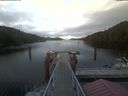 ./images/calvert/dock/20210702/dock20210702_204502.jpg