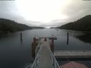 ./images/calvert/dock/20210703/dock20210703_100503.jpg