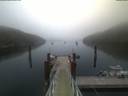 ./images/calvert/dock/20210704/dock20210704_051504.jpg