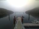 ./images/calvert/dock/20210704/dock20210704_052502.jpg