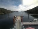 ./images/calvert/dock/20210704/dock20210704_124503.jpg