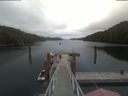 ./images/calvert/dock/20210705/dock20210705_132004.jpg