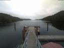 ./images/calvert/dock/20210706/dock20210706_122504.jpg