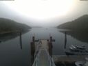 ./images/calvert/dock/20210709/dock20210709_072504.jpg