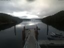 ./images/calvert/dock/20210709/dock20210709_084004.jpg