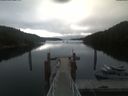 ./images/calvert/dock/20210709/dock20210709_084504.jpg