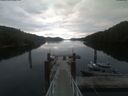 ./images/calvert/dock/20210711/dock20210711_062504.jpg