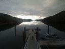 ./images/calvert/dock/20210711/dock20210711_072502.jpg