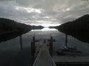./images/calvert/dock/20210711/dock20210711_083504.jpg