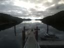 ./images/calvert/dock/20210711/dock20210711_085504.jpg