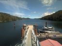 ./images/calvert/dock/20210711/dock20210711_141501.jpg